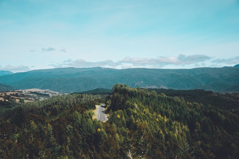 no people, day, plant, outdoor, hike, tree, tranquility, aerial, horizon, environment, pine, above, wanderlust, mountains, non-urban scene, sky, view, lush