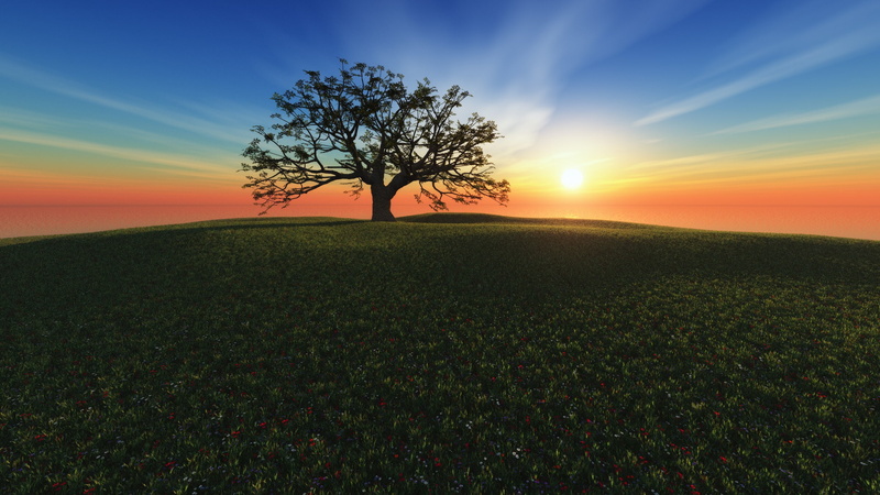 digital art, Trees, 2K, Richard Mohler