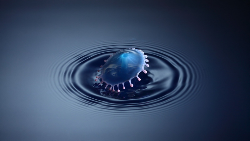 vertebrate, concentric, blue, no people, Richard Mohler, Water Drops, animal, water, abstract, rippled, lake, marine, animal wildlife, one animal, outdoors