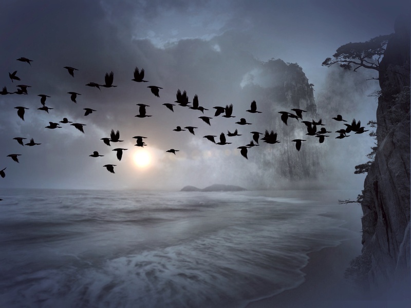 birds, creature, travel, clouds, animals, raven, atmospheric, group of animals, sky, no people, bird, swarm, motion, large group of animals, scenics - nature