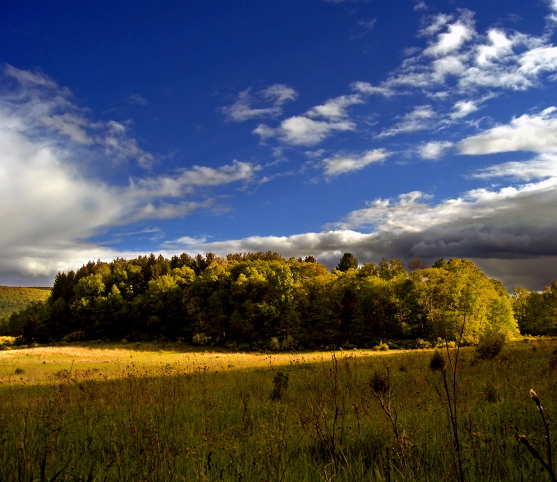 field, spring, sky, outdoors, tree, Delaware Water Gap National Recreation Area, nature, green, stratocumulus, Walpack, clouds, cloud - Sky, meadow, grass