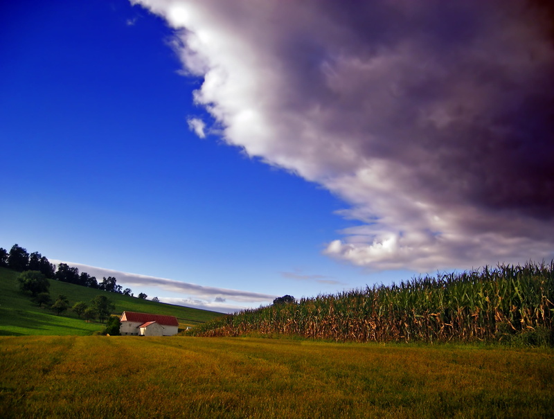 Berks County, landscape, brown, grass, field, meadow, green Color, cloudy, stratocumulus, Albany Township, sky, clouds, Pennsylvania, scenics, 2K, farm