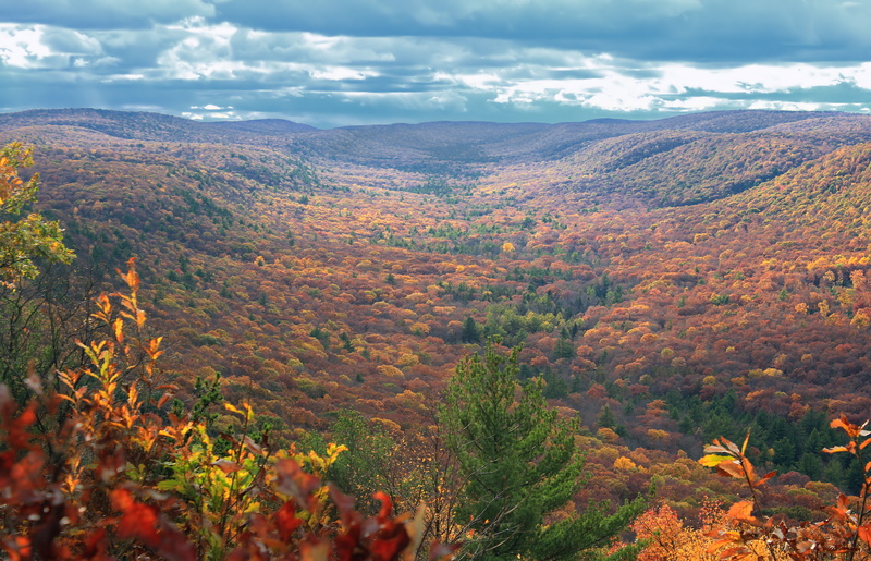 yellow, fall, clouds, outdoors, tree, Union County, hiking, trees, leaf, mountain, red, valley, Naked, hills, Bald Eagle State Forest, Mountain Trail, sky
