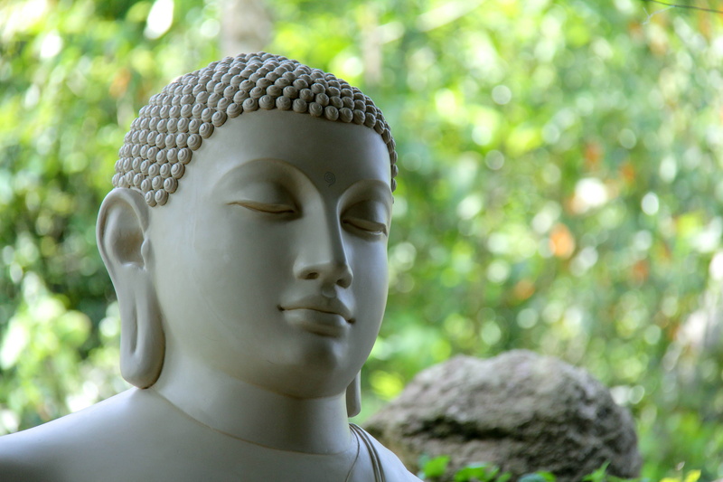 day, near, belief, sculpture, 5K, tree, no people, close-up, representation, mahamevnawa, contemplation, statue, religion, nature, leaves, sri lanka, outdoors