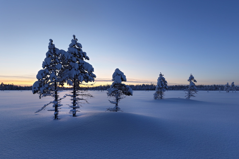 leisure activity, outdoors, real people, winter 4k cool pc, warm clothing, nature, cold temperature, frozen, sky, plant, full length, day, snow