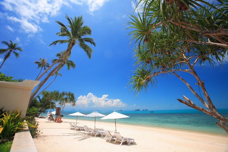 outdoors, water, sea, tranquil scene, holiday, lounge chair, sand, trip, tropical climate, tranquility, beach, horizon over water, horizon, chair, coconut palm tree