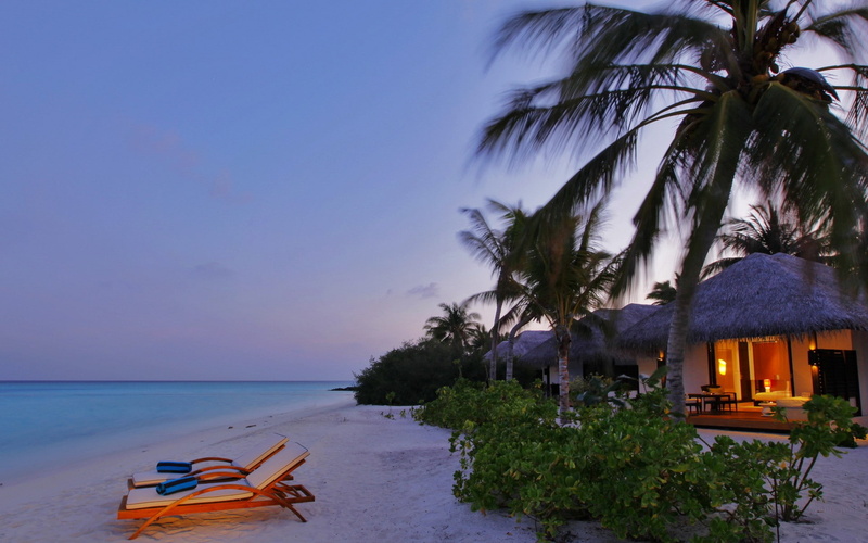architecture, tranquility, horizon over water, tropical climate, palm tree, 1080P, swimming pool, plant, no people, scenics - nature, horizon, lounge chair