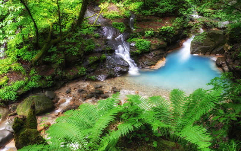 no people, forest, pond, environment, plant, power in nature, land, tochigi, hd, water, 4K, green color, motion, landscape, waterfall, flowing water, nature
