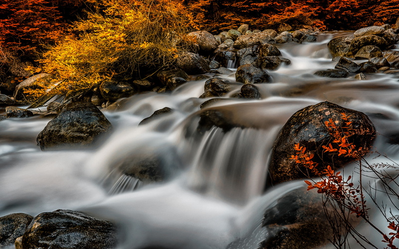 autumn, tablet, river, buzzing, desktop, rocks, 4K, red, leaves, yellow, phones, computer, mobile, stream, hd, leak, trees, bushes, water