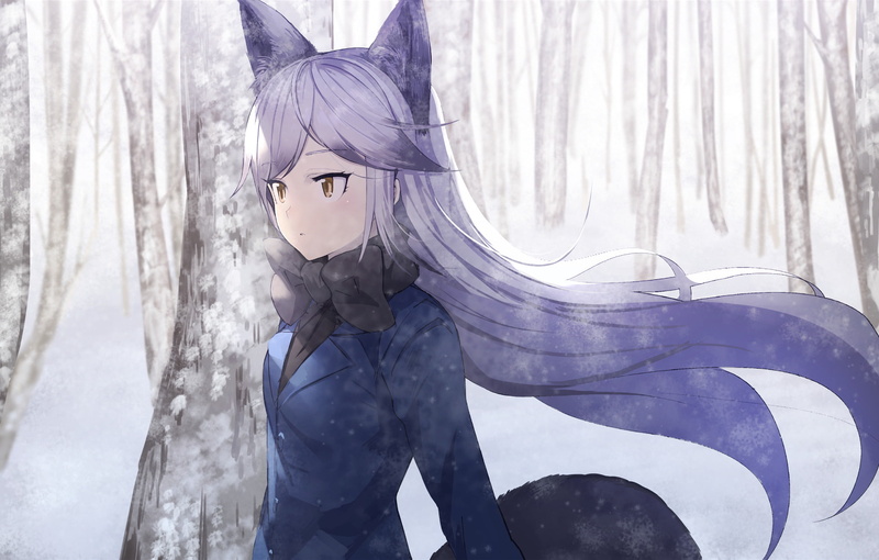 women, real people, front view, lifestyles, Anime, clothing, hood - clothing, leisure activity, 1080P, winter, snow, nature, ice, cold temperature, portrait