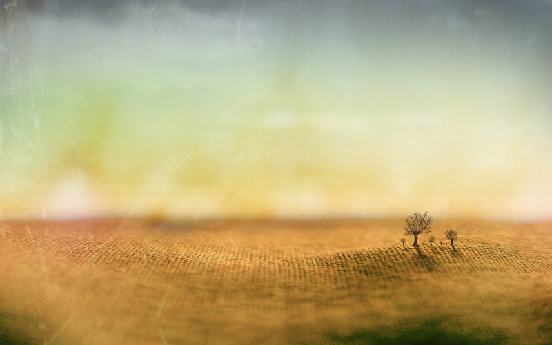 widescreen, dreamy and fantasy, shift, tilt, dreams, 2K