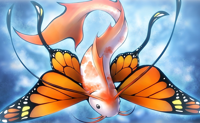 orange color, blue, animals in the wild, Fish, orange, illustration, no people, pattern, sky, Aero, Butterfly, focus on foreground, nature, art and craft