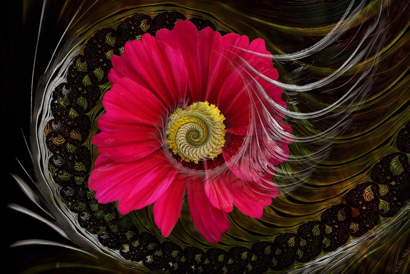 fantasy, digital, artistic, photoshop, 1080P, creative, fairytale, artwork, surreal, manipulation, art