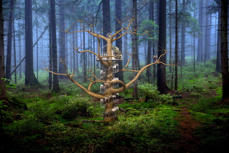 art, 1080P, surreal, artistic, photoshop, artwork, manipulation, creative, fantasy, digital, fairytale