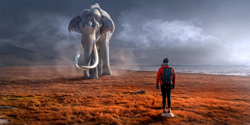artistic, creative, art, fairytale, photoshop, artwork, 1080P, manipulation, fantasy