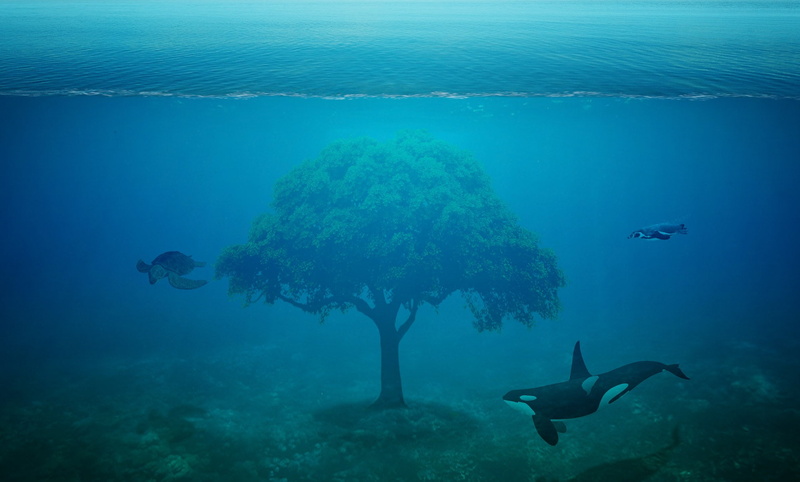 surreal, photoshop, fairytale, art, artistic, manipulation, fantasy, artwork, creative, 1080P, digital