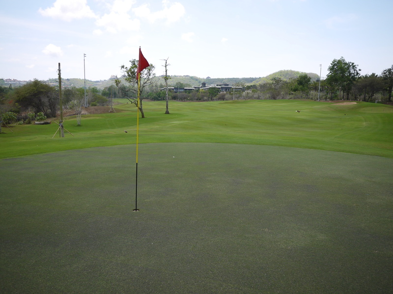 golf flag, outdoors, green color, grass, sky, golf course, beauty in nature, landscape, activity, leisure activity, tree, golf, tranquil scene, 4K, green