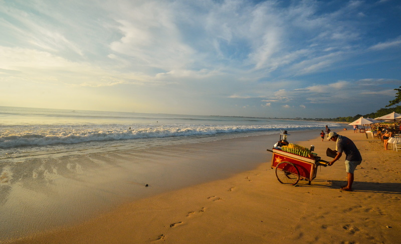 domestic, real people, land, beauty in nature, horizon, bali, bird, human, beach, indonesia, 4K, person, vehicle, mammal, ocean, coast, horizon over water