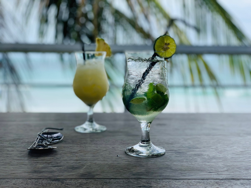 still life, nature, alcohol, boat, bird, 4K, plant, food and drink, planter, bali, day, potted plant, healthy eating, beverage, focus on foreground, no people