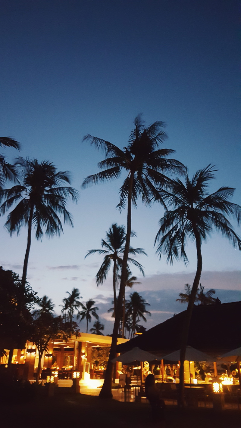 tree, outdoors, blossom, flare, kuta selatan, beauty in nature, sky, tropical climate, night, dusk, nature, person, tent, citrus fruit, plant, no people