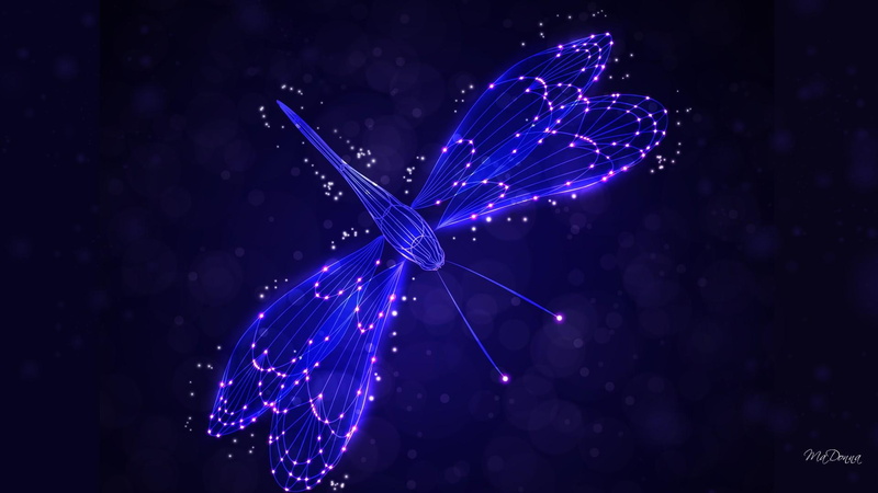 1080P, lights, fantasy, blue, garden, stars, shine, summer, nature and landscapes, glow, dragonfly, bright