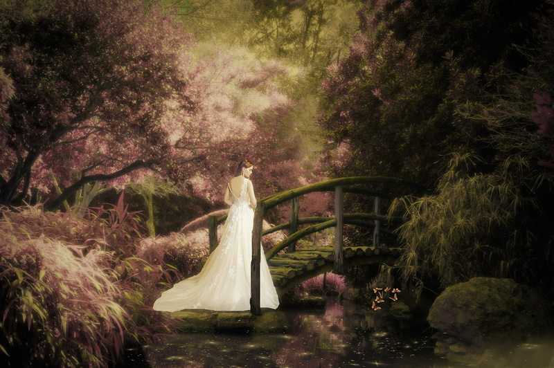 beauty in nature, tree, lake, wedding dress, fairytale, day, plant, fantasy, nature, 2K, land, bridge, garden, water, dreams, pond, wedding, woman, growth