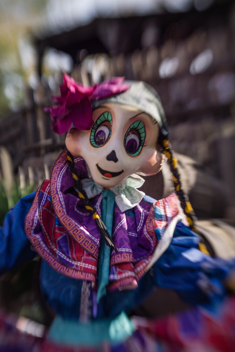 5K, close-up, one person, mask, celebration, festival, focus on foreground, human representation, disguise, coco, childhood, carnival - celebration event