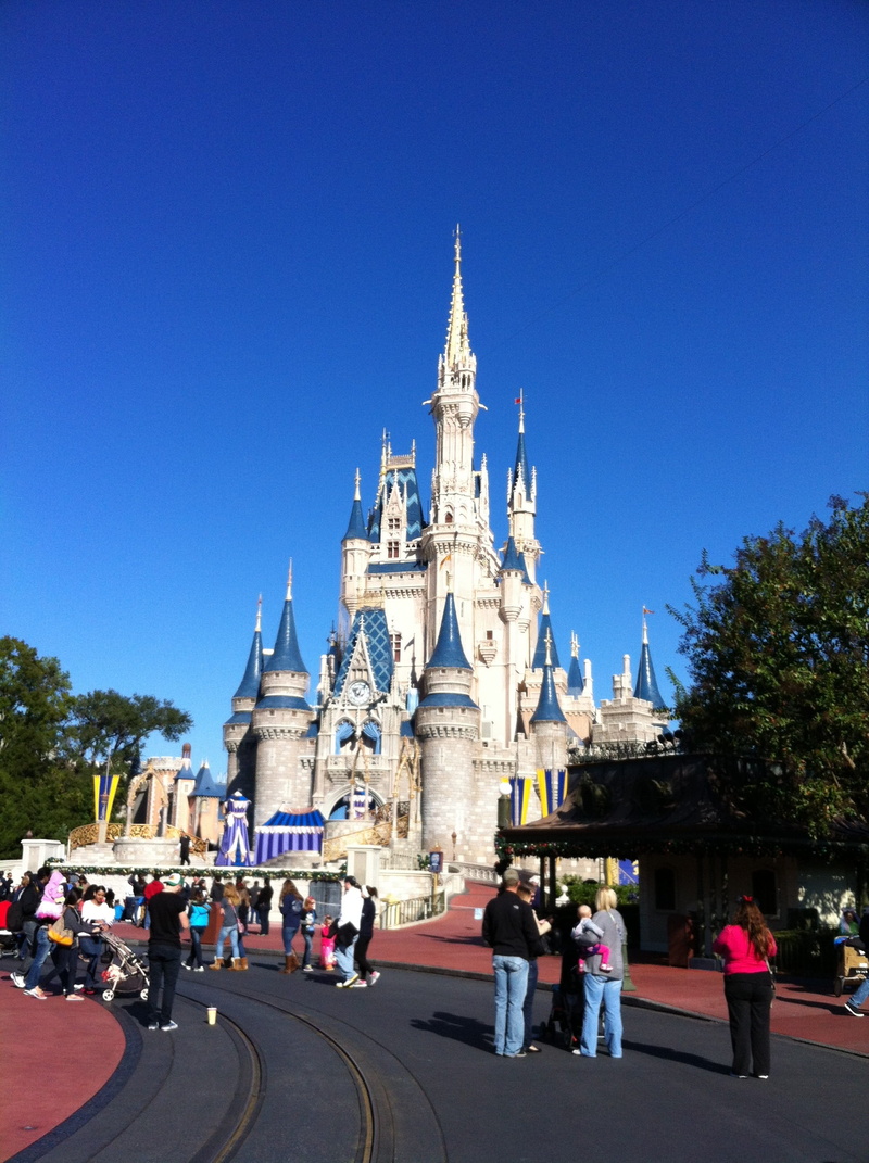 urban Scene, religion, real people, CinderellaS Castle, vacation, large group of people, spirituality, place of worship, travel Destinations, entertainment
