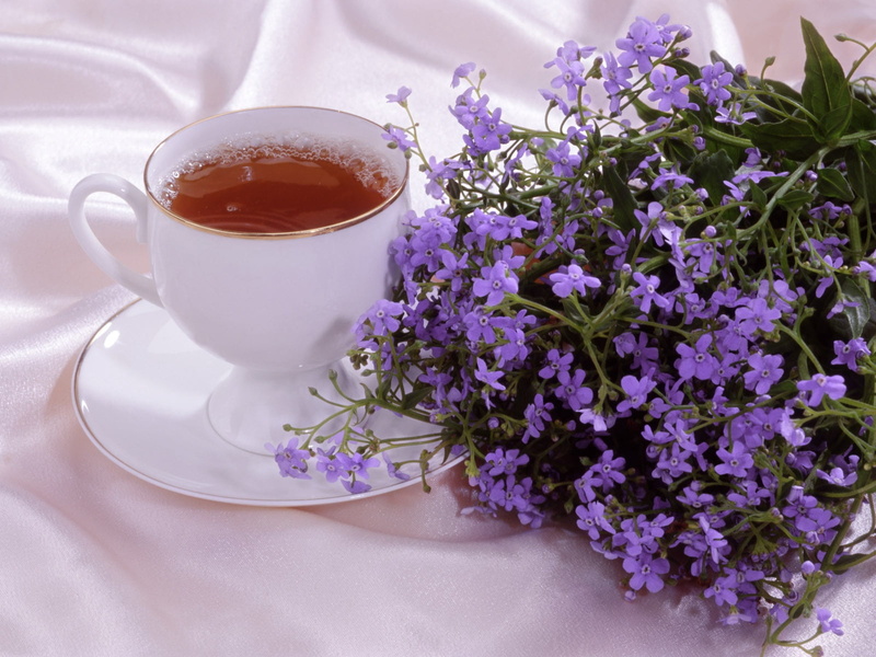 close-up, relaxation, white, nature, plant, scented, teacup, leaf, backgrounds, tea, refreshment, freshness, food and drink, mug, flower Head, food, glass