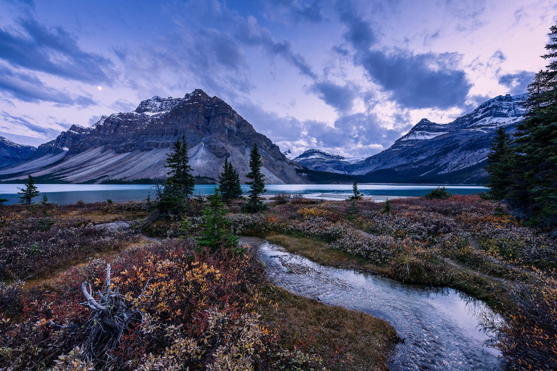 banff, Bow Lake, mountain, trees, national, Alberta, lake, creek, Banff National Park, park, 1080P, evening, bow, grass, Canada