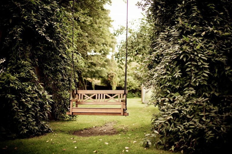 green color, sunlight, plant, grass, built structure, plants, no people, park bench, bench, tree, empty, swing, day, outdoors, growth, front or back yard