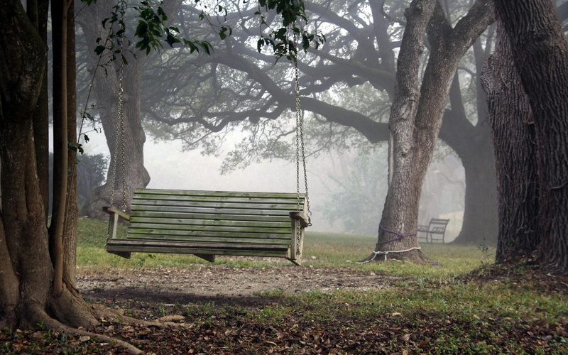 widescreen, landscapes, trees, fog, mood, bench, 1080P, resolutions, chair, swing