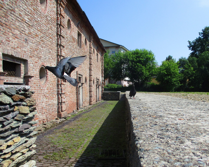 wings, castle, 4K, outdoors, grille, history, tree, doors, stone, stone wall, the façade of the, iron, brick wall, house, architecture, built structure