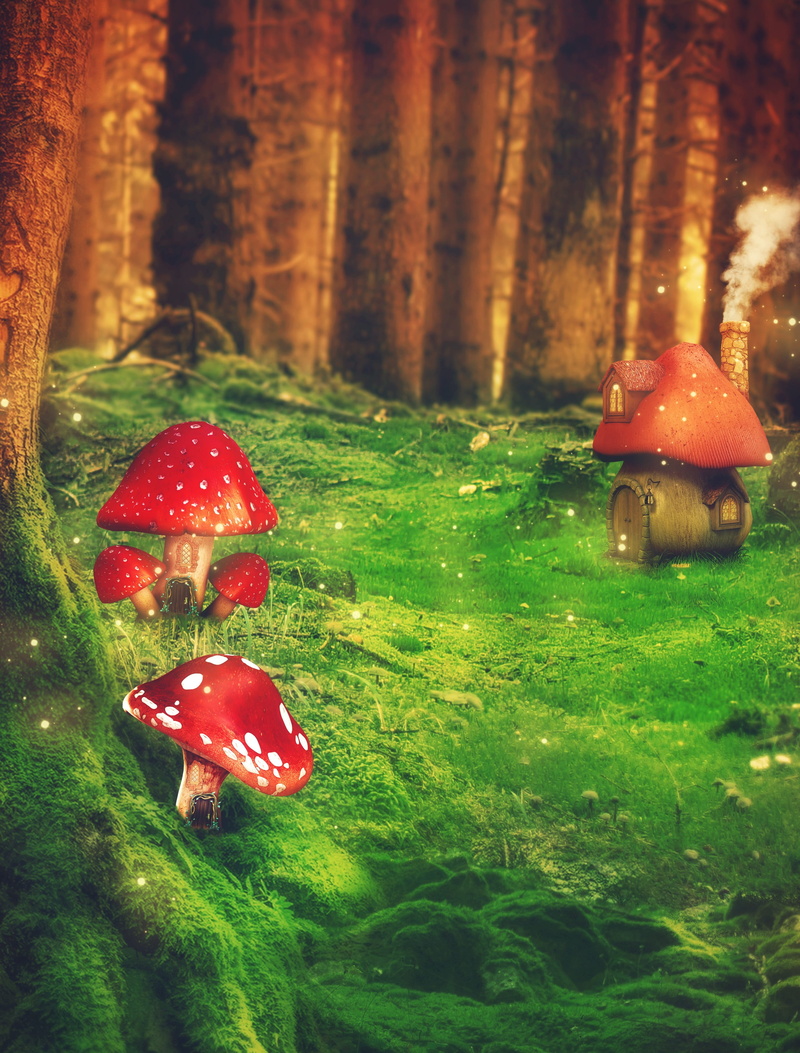 background image, tree, surreal, landscape, food and drink, plant, atmosphere, window, close-up, meadow, lantern, smoke, chimney, mushroom, land, mushrooms