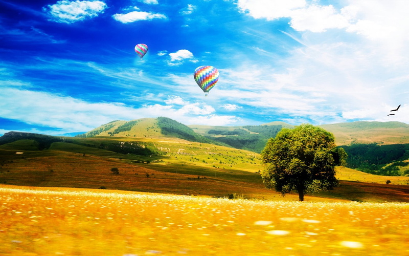 no people, tree, environment, green, plant, tranquil scene, landscape, scenics - nature, mid-air, hot air balloon, mountain range, nature, outdoors, day