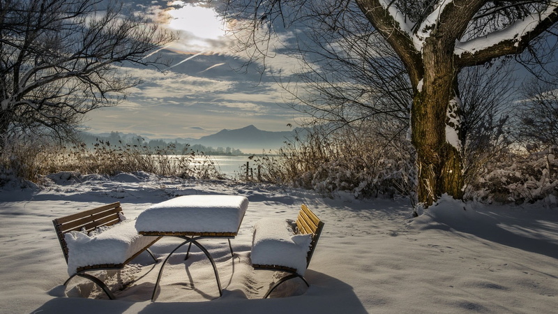 water, tree, covering, bare tree, outdoors, mountain, benches, seat, landscape, bench, no people, winter, branch, snowcovered, cold temperature, frozen