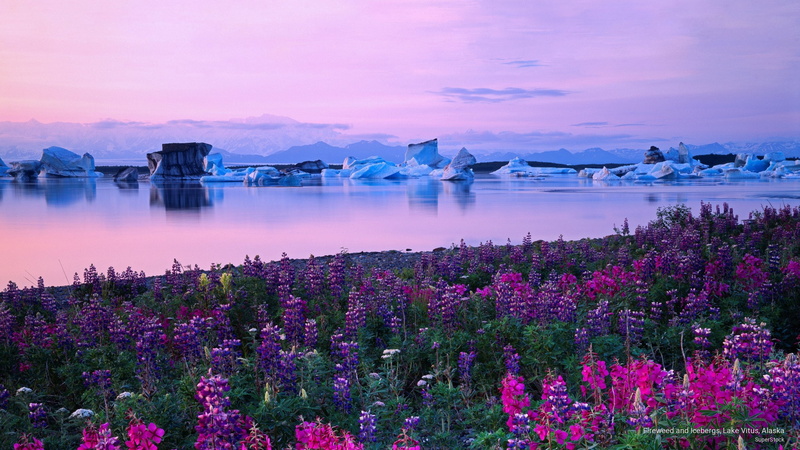2K, Nature, lake, vitus, alaska, fireweed, icebergs