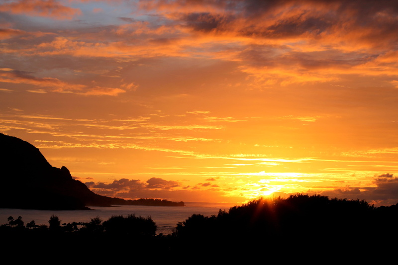 idyllic, the art of travel, beautiful, sunset, island, tranquil scene, non-urban scene, silhouette, north shore, ocean, tranquility, tree, scenics - nature