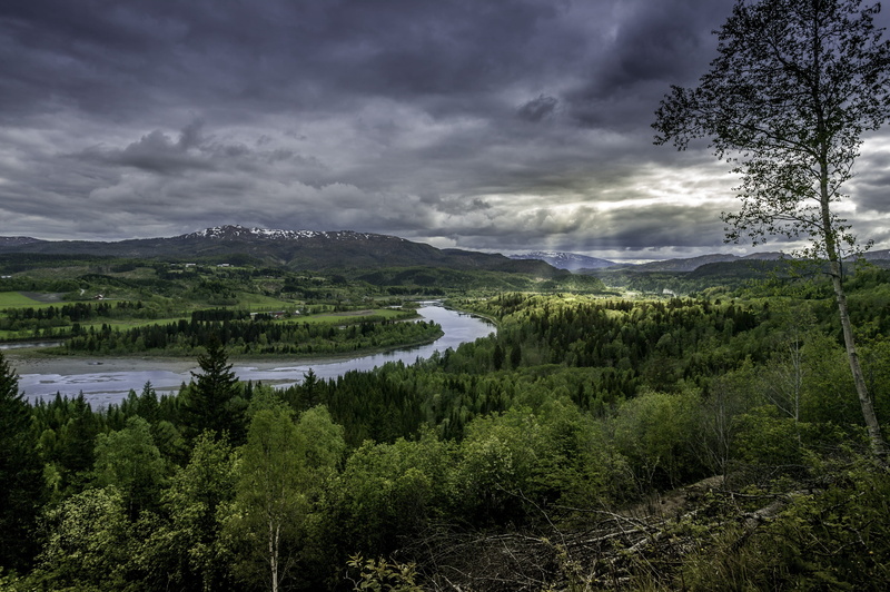 outdoors, dom, nature, plant, wilderness, salmon river, adventure, lake, tranquil scene, hiking, holiday in norway, non-urban scene, land, namsental, pine tree