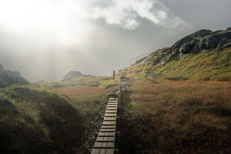 norway, plant, lofoten, sunlight, scenery, sunset, the way forward, tranquility, rope bridge, cloud - sky, mountain, sun, beauty in nature, environment