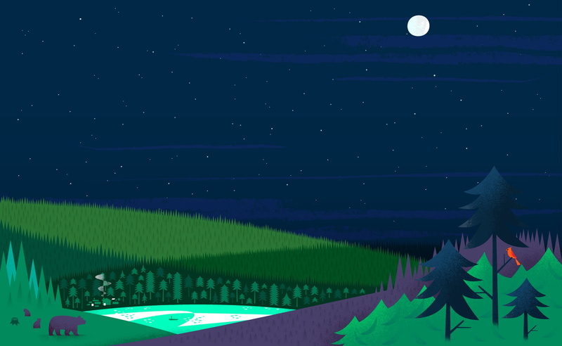 bears, the moon, full, space, Stars, outdoors, water, leaves, growth, plant part, astronomy, 1080P, moon, illustration, nightlife, illuminated, plant
