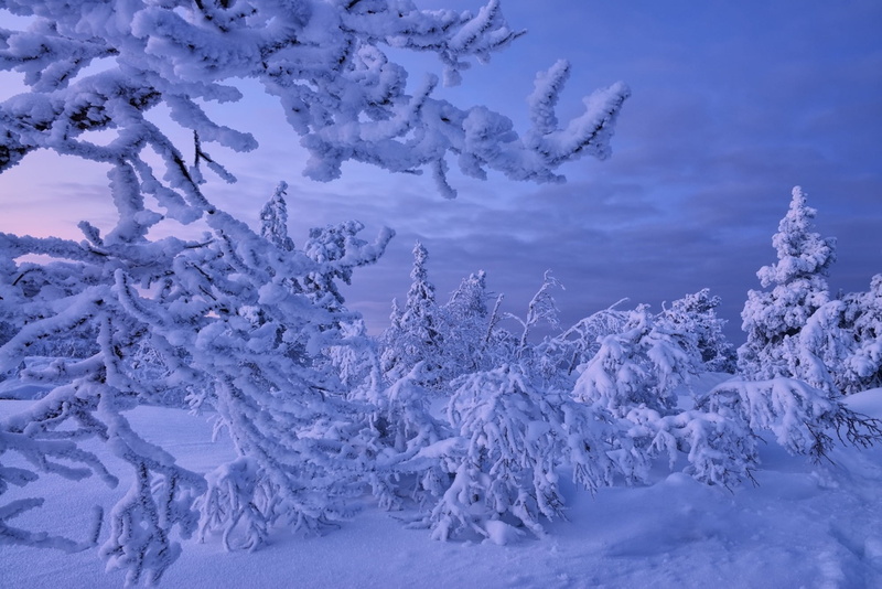 winter, Russia, frost, Snow, Murmansk oblast, 1080P