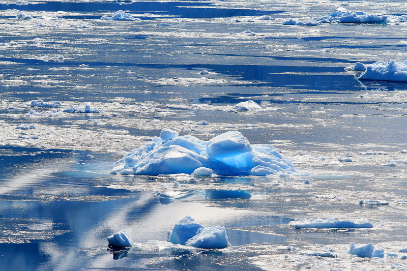 ice floes, frozen, ice, floating on water, tranquility, beauty in nature, waters, scenics - nature, water, cold temperature, iceberg, melting, day, blue