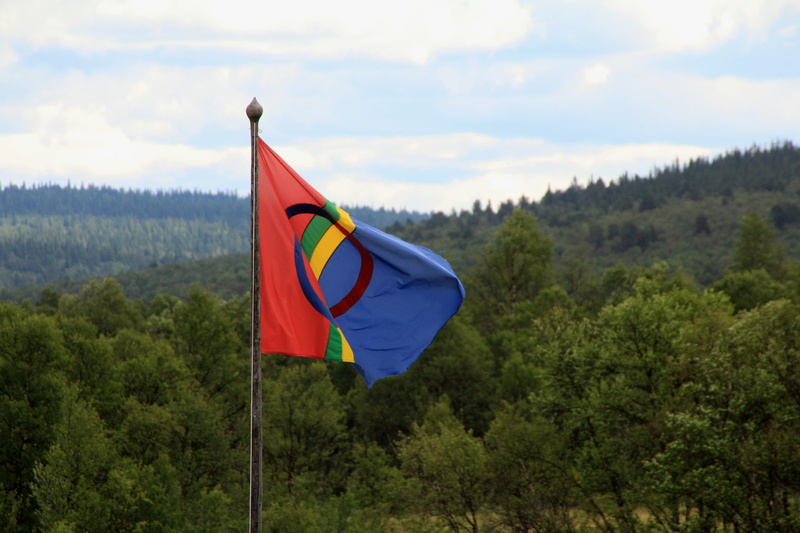 growth, red, forest, tree, nature, day, mountain, wind, lapland, flag, environment, outdoors, sweden, sky, polar region, patriotism, europe, plant, 5K