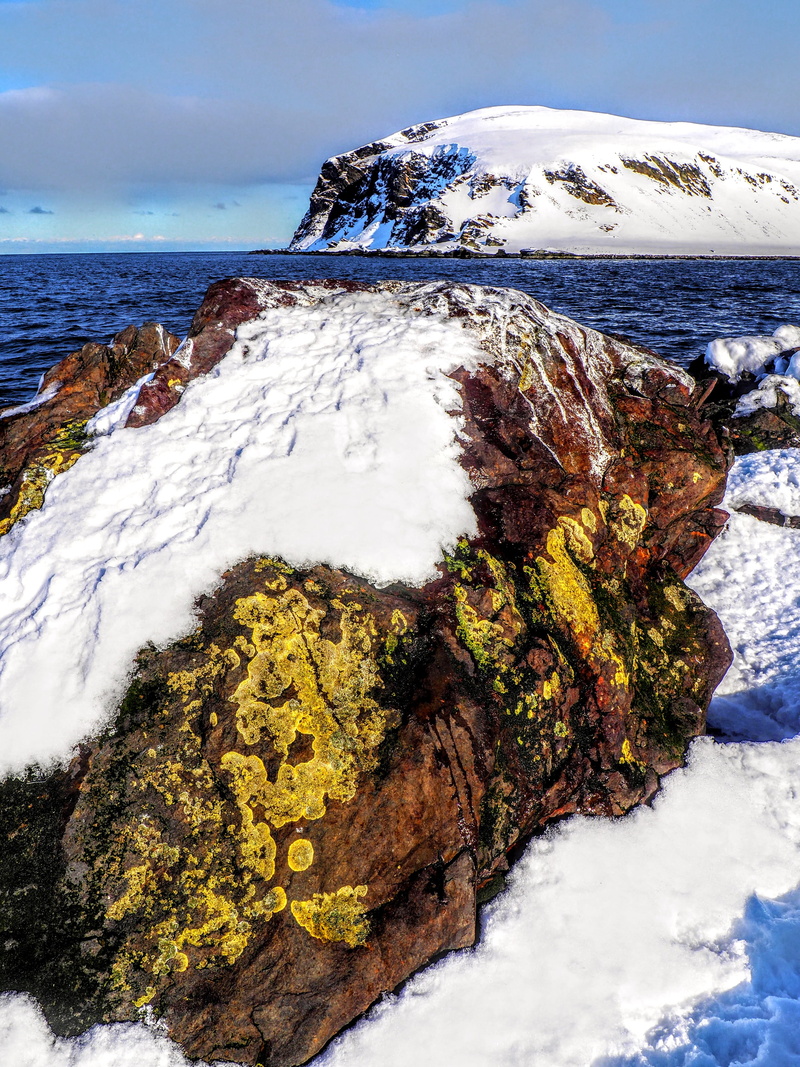 finnmark, rock - object, roche, snow, arctic, outdoors, no person, no people, travel, beauty in nature, rock, scenics - nature, cold, landscape, cold temperature