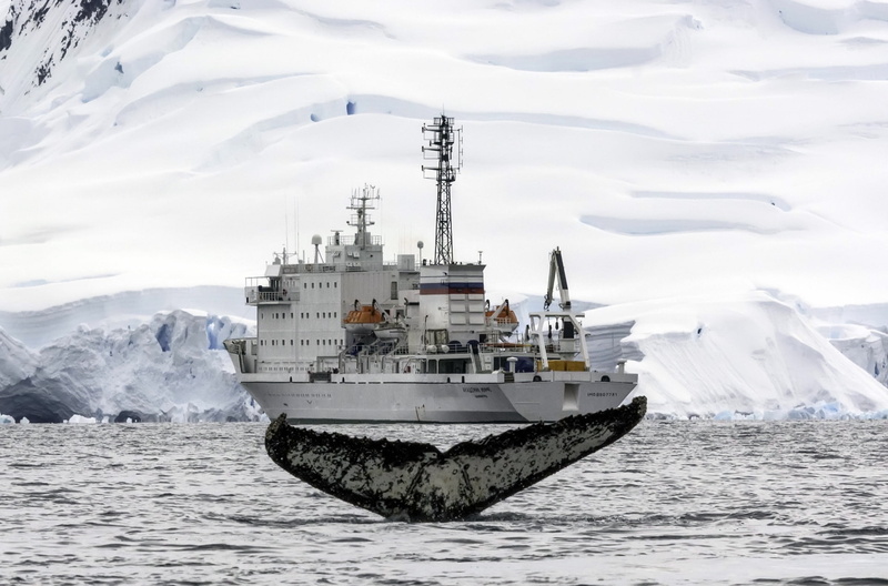 outdoors, whale, transportation, military, navy, sky, Arctic, ship, nature, 1080P, waterfront, sea, water, nautical vessel, day, mountain, scenics - nature