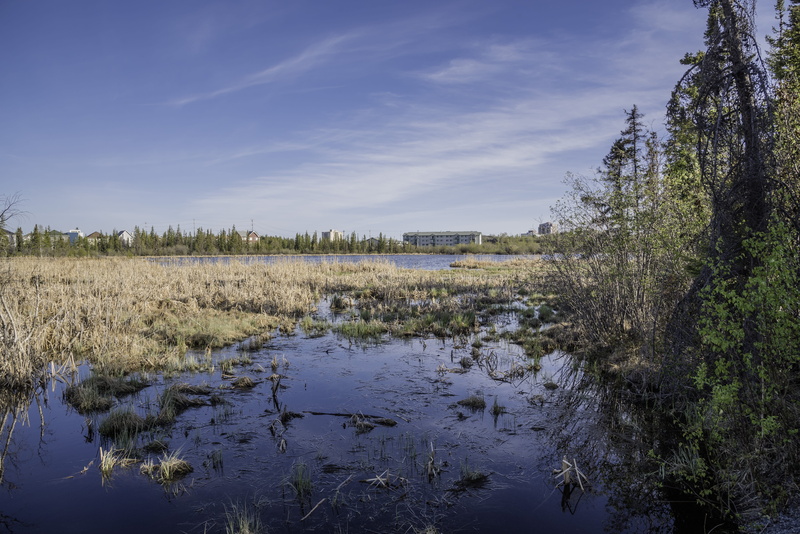 non-urban scene, skies, landscape, tranquil scene, lake, blue, grasses, public domain, cloud - sky, Marshland, reflection, plant, marsh, outdoors, water