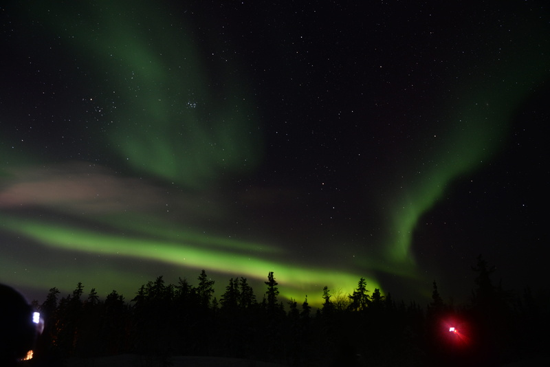 nature, space, canada, night, outdoors, idyllic, tranquility, star - space, green color, tree, 5K, illuminated, majestic, low angle view, scenics - nature