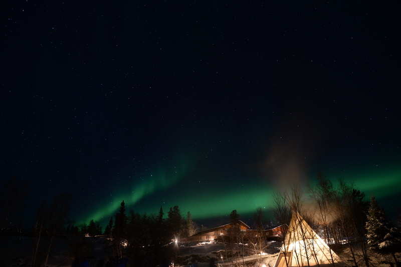 night, cold temperature, canada, tree, 5K, tranquil scene, scenics - nature, illuminated, winter, sky, beauty in nature, yellowknife, tranquility, space