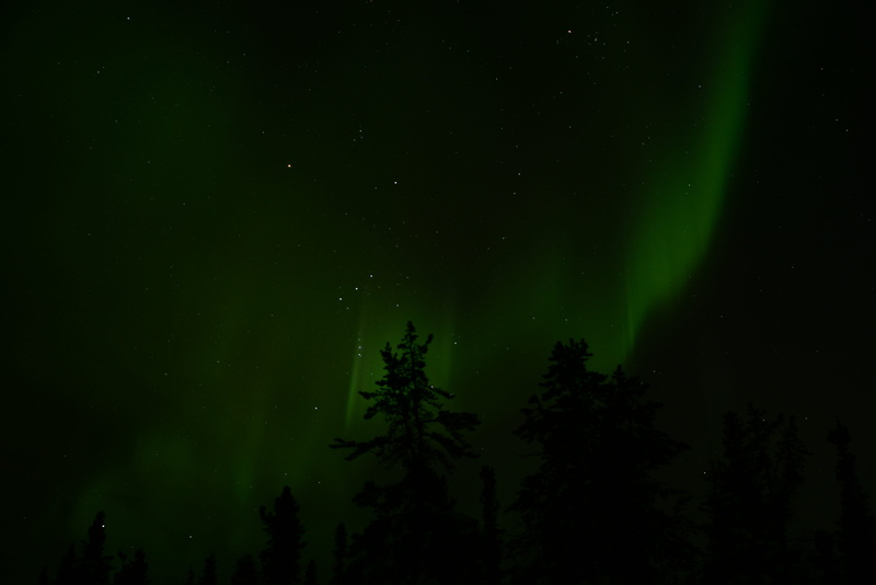 nature, yellowknife, scenics - nature, green color, aurora, aurora polaris, plant, space and astronomy, tranquility, star, low angle view, 5K, beauty in nature